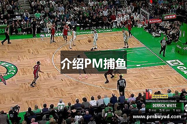 介绍PM捕鱼